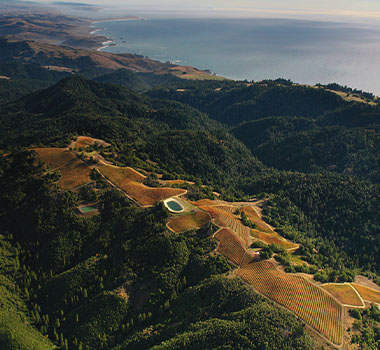 Fort Ross Vineyard